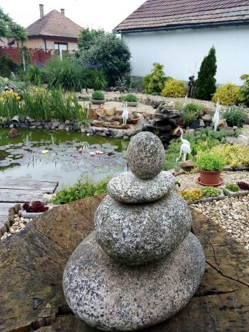 Molnár Anna kertje 02